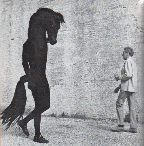 The Black Dogs in My Bosom